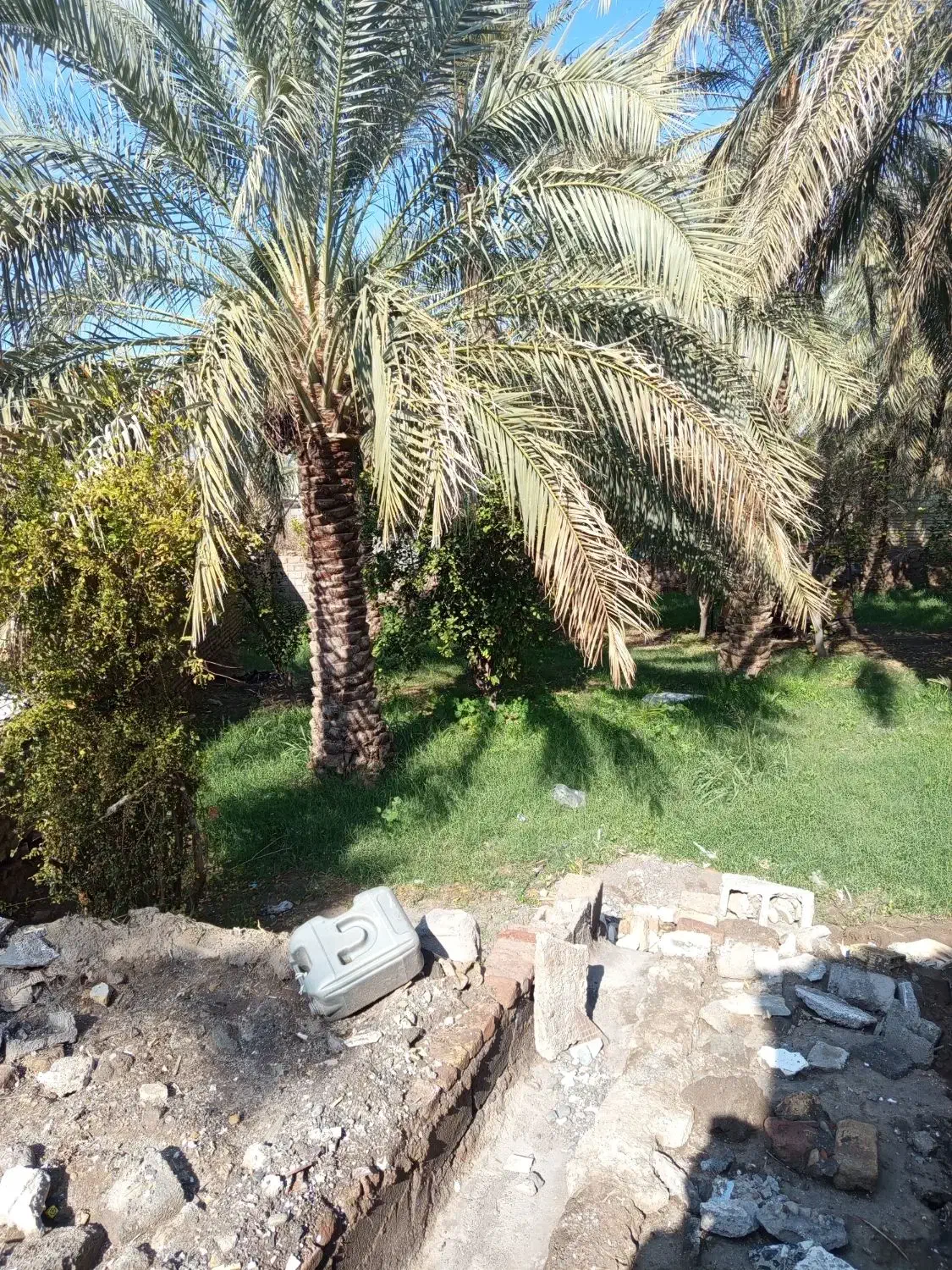 زمین|فروش زمین و ملک کلنگی|بم, |دیوار