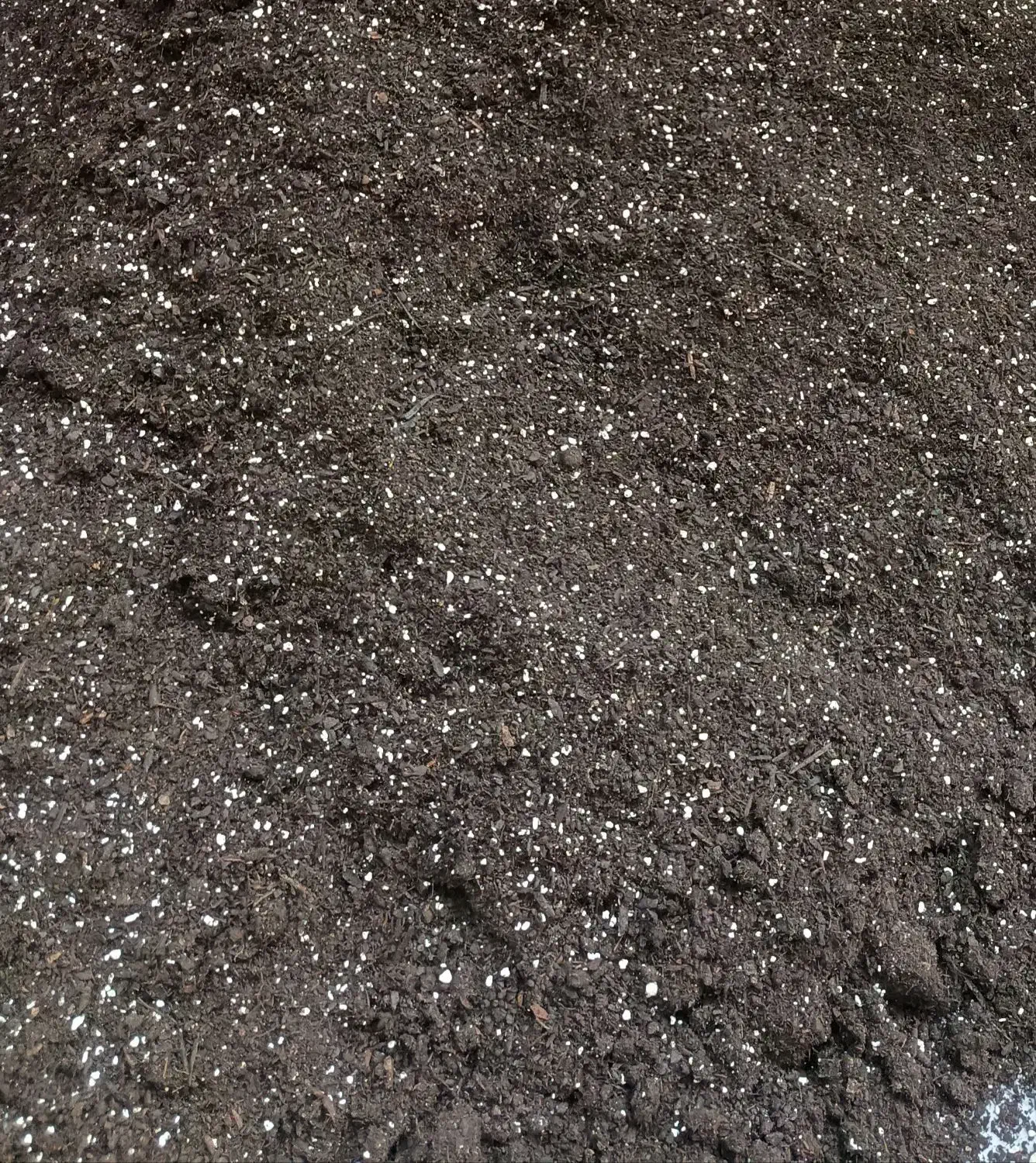 خاک|گل و گیاه طبیعی|تهران, نارمک|دیوار