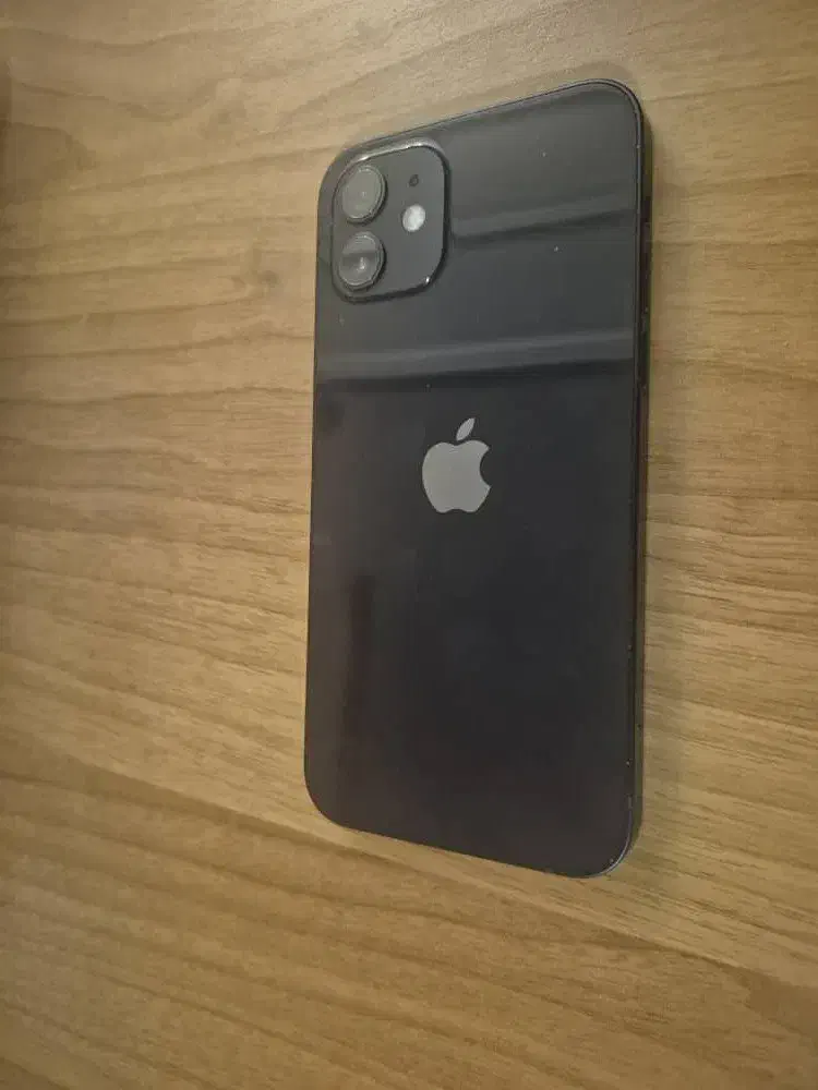 گوشی آیفون 12 نرمال پک اصلی|موبایل|کرج, اکبرآباد|دیوار