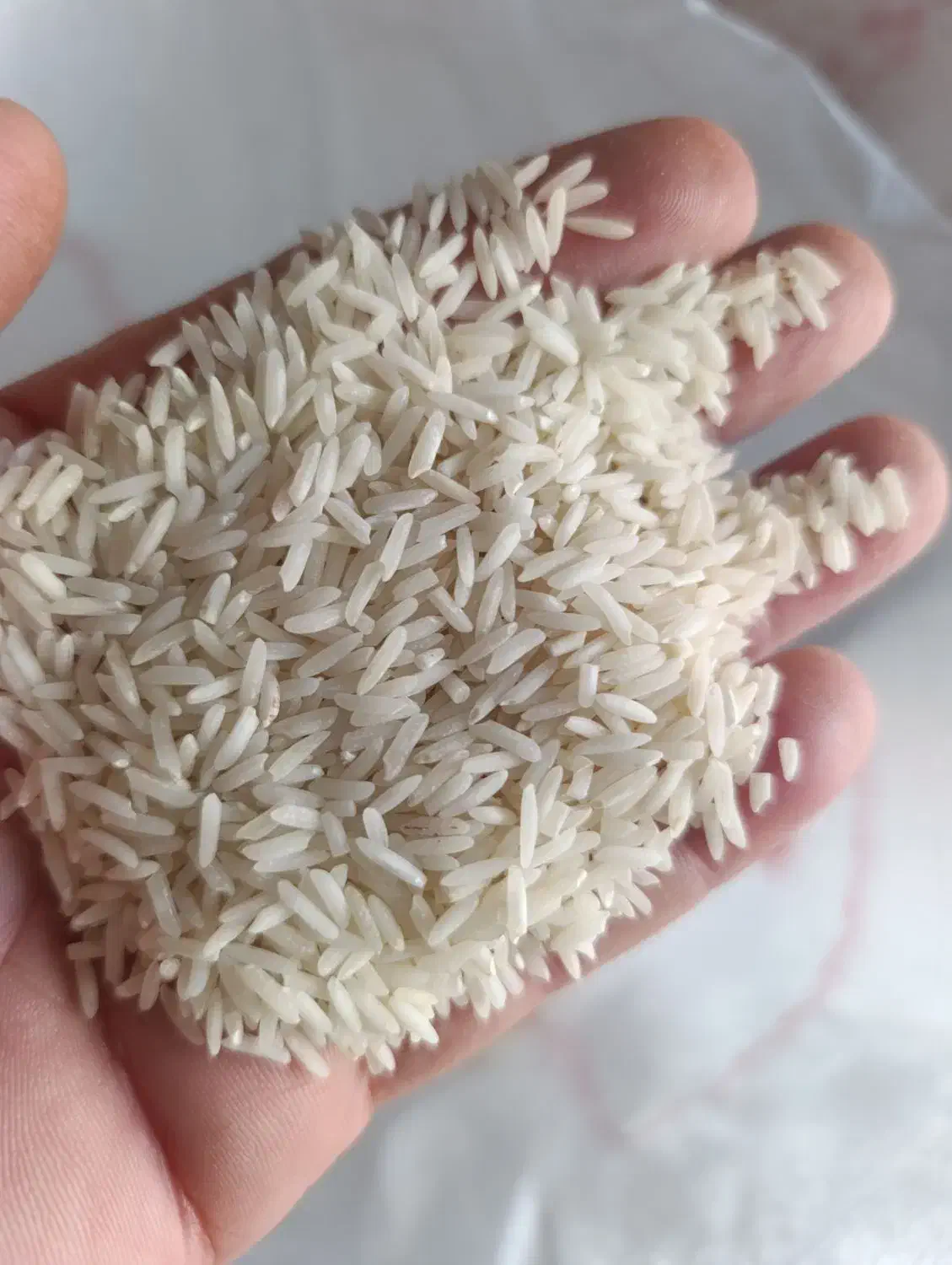 برنج طارم پرمحصول کیلویی۱۷۹هزار|خوردنی و آشامیدنی|ایوان, |دیوار