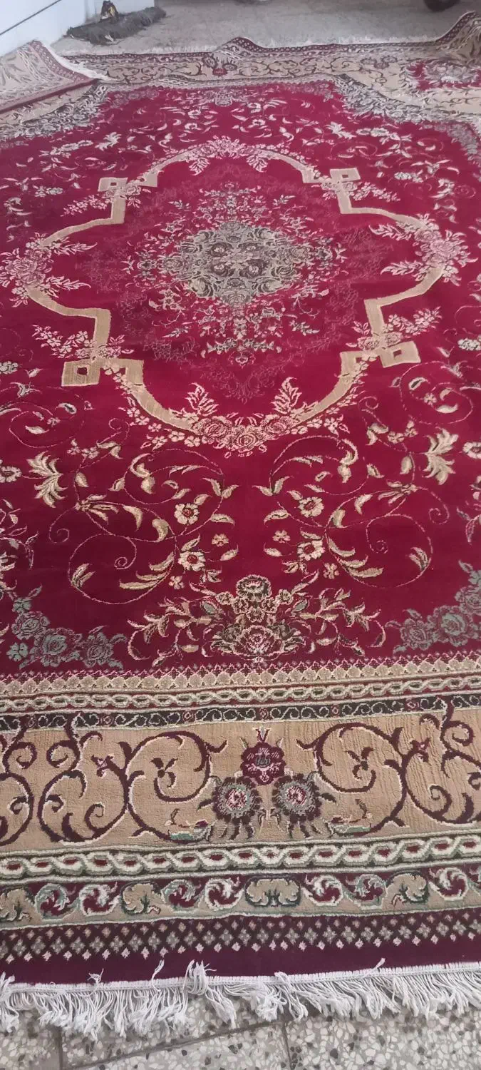 فرش ۱۲ متری کارکرده|فعالیت داوطلبانه تحقیقاتی|شاهرود, |دیوار