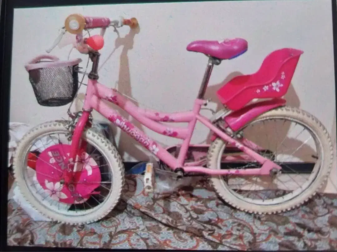 دوچرخه دخترونه سایز ۲۰ سالم و درحد نو|دوچرخه، اسکیت، اسکوتر|تهران, هفده شهریور|دیوار