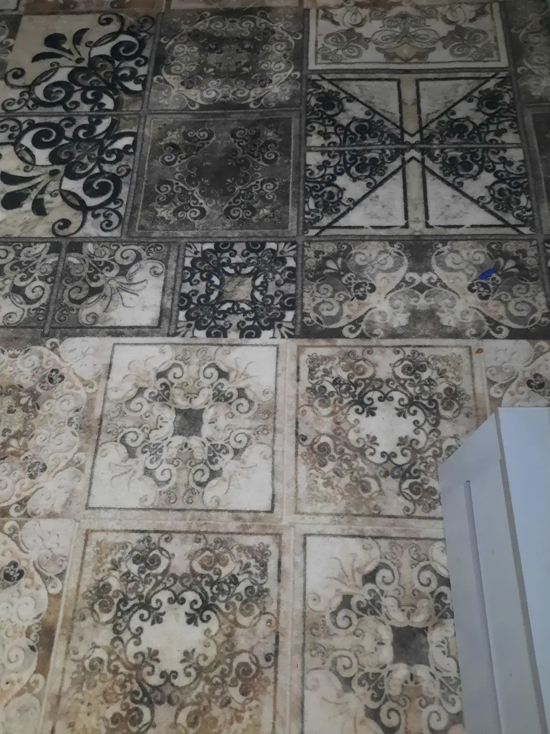 موکت|موکت|بندرعباس, |دیوار