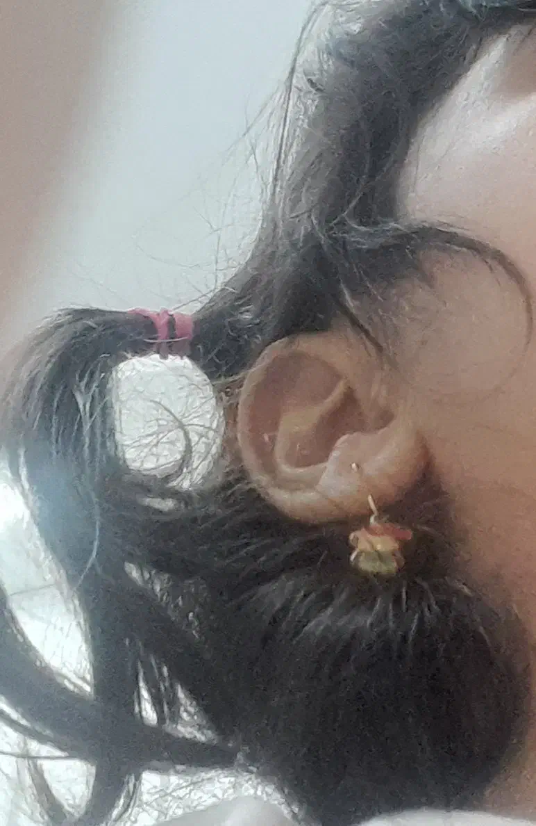 یک لنگه گوشواره کیتی بچگانه گم کردم|اشیا|اردبیل, |دیوار