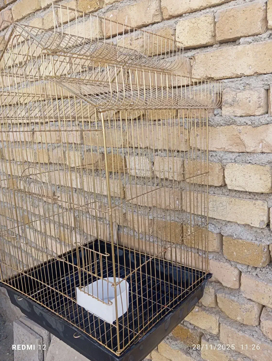 حیوانات|لوازم جانبی حیوانات|همدان, |دیوار