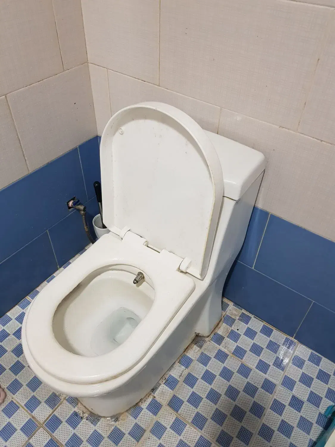 توالت فرنگی|لوازم سرویس بهداشتی|تبریز, |دیوار