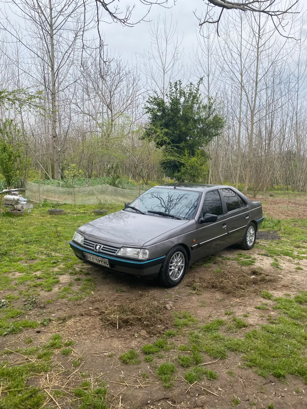 Peugeot.405.GLX.85|خودرو سواری و وانت|رشت, استادسرا|دیوار