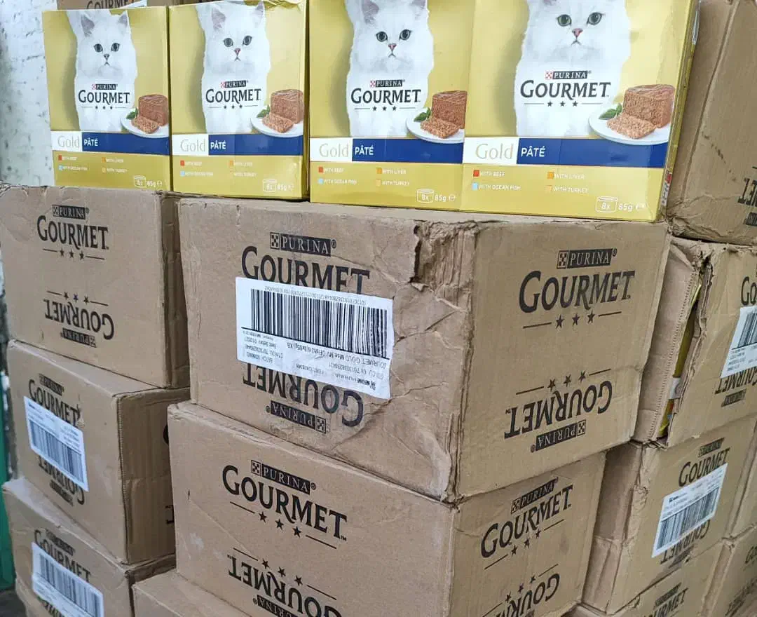 پت شاپ|لوازم جانبی حیوانات|رشت, کوی جام جم|دیوار