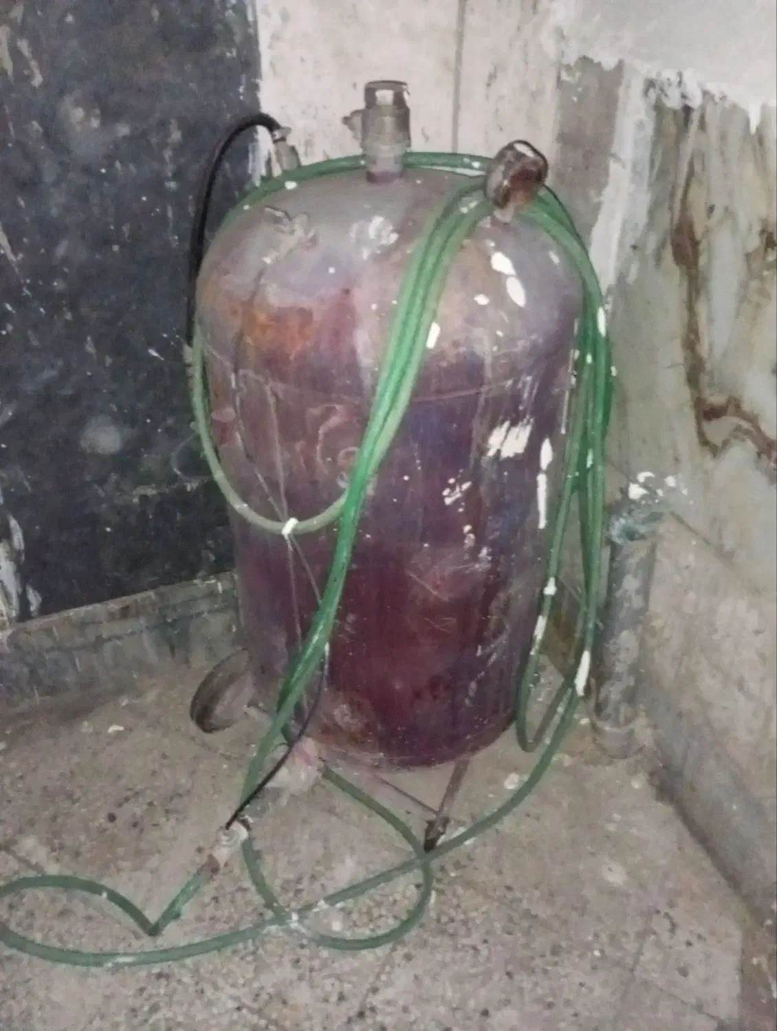 ک ا ر و اش|اسباب و اثاث بچه|تربتحیدریه, رباط سفلی|دیوار