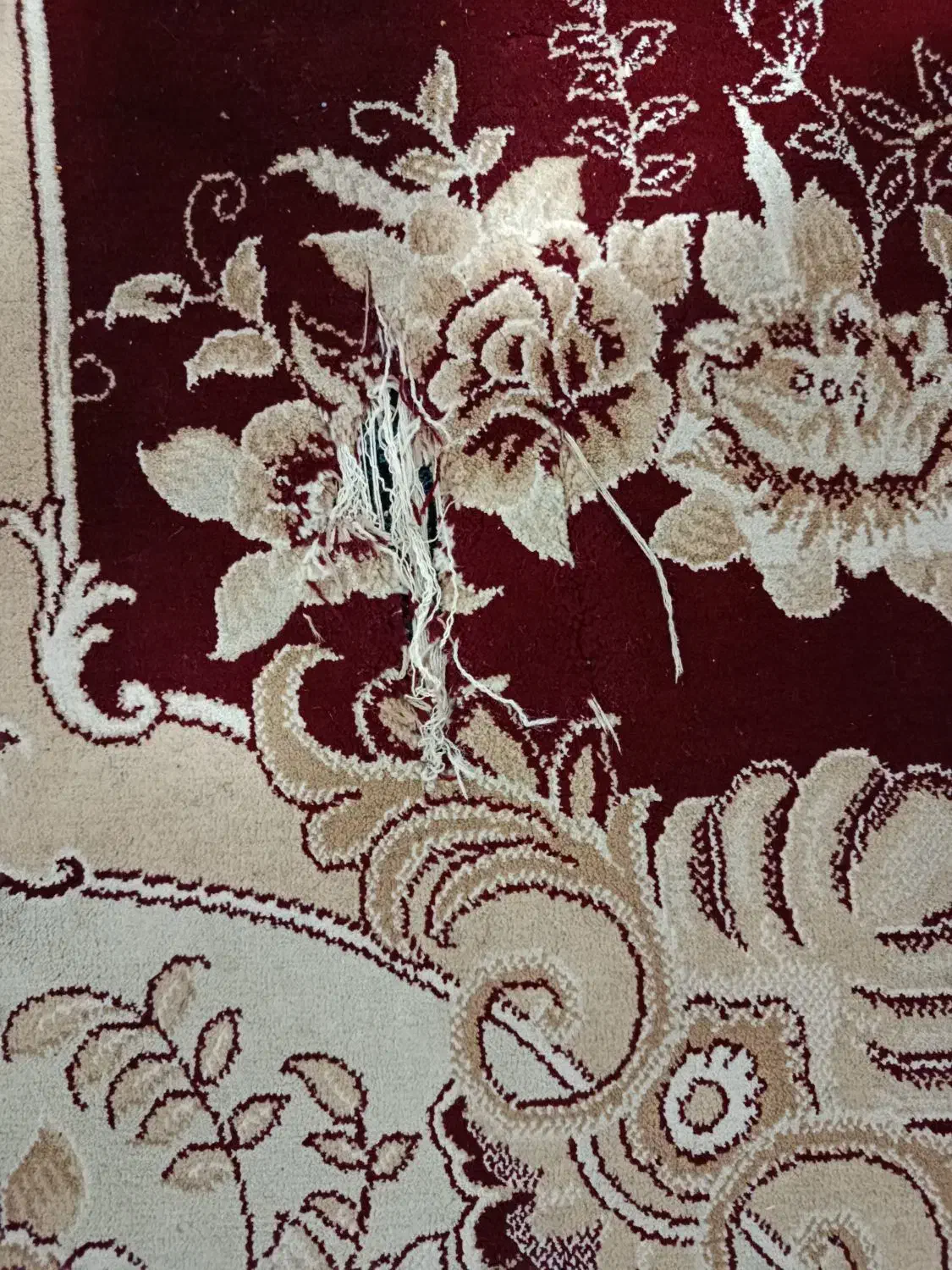 دو عدد فرش 12متری|فرش|زاهدان, |دیوار