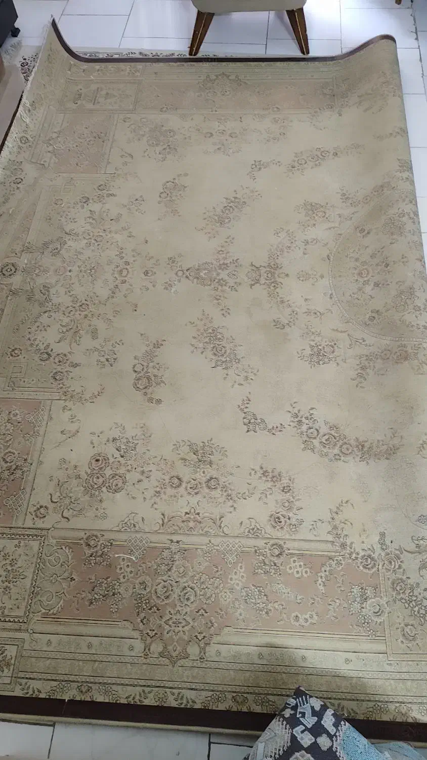 فرش12متری مشهد|فرش|مشهد, تربیت (صدف)|دیوار