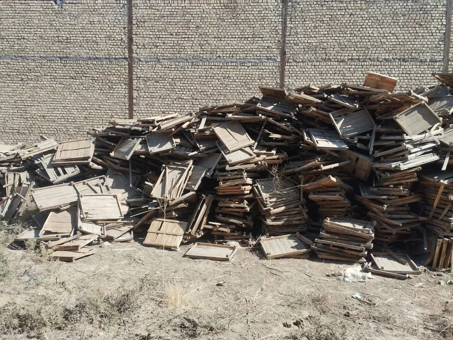 ضایعات چوب|عمده‌فروشی|کاشمر, |دیوار
