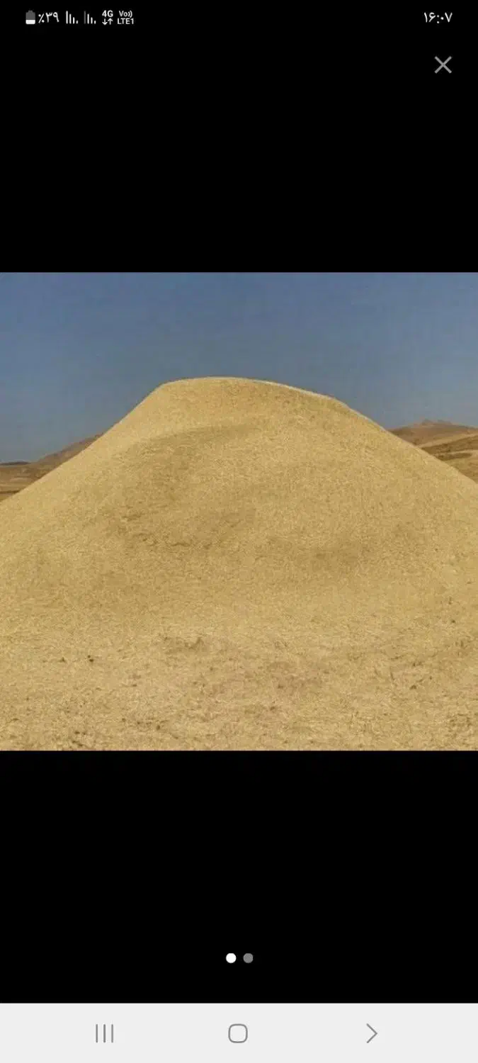 کاه|خدمات باغبانی و درختکاری|رشت, چله خانه|دیوار