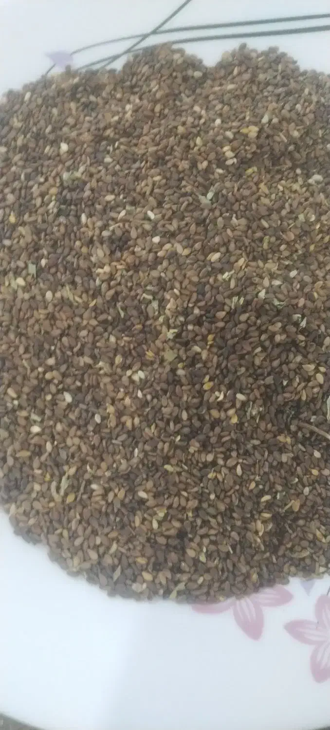 کنجد|خوردنی و آشامیدنی|سبزوار, فیاض|دیوار