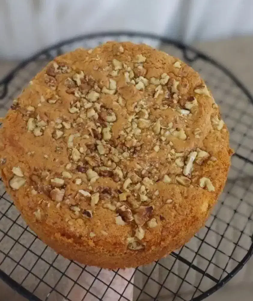 کیک خیس شکلاتی وکیکهای کافیشاپ|خدمات پذیرایی، مراسم|بندر امام خمینی, |دیوار