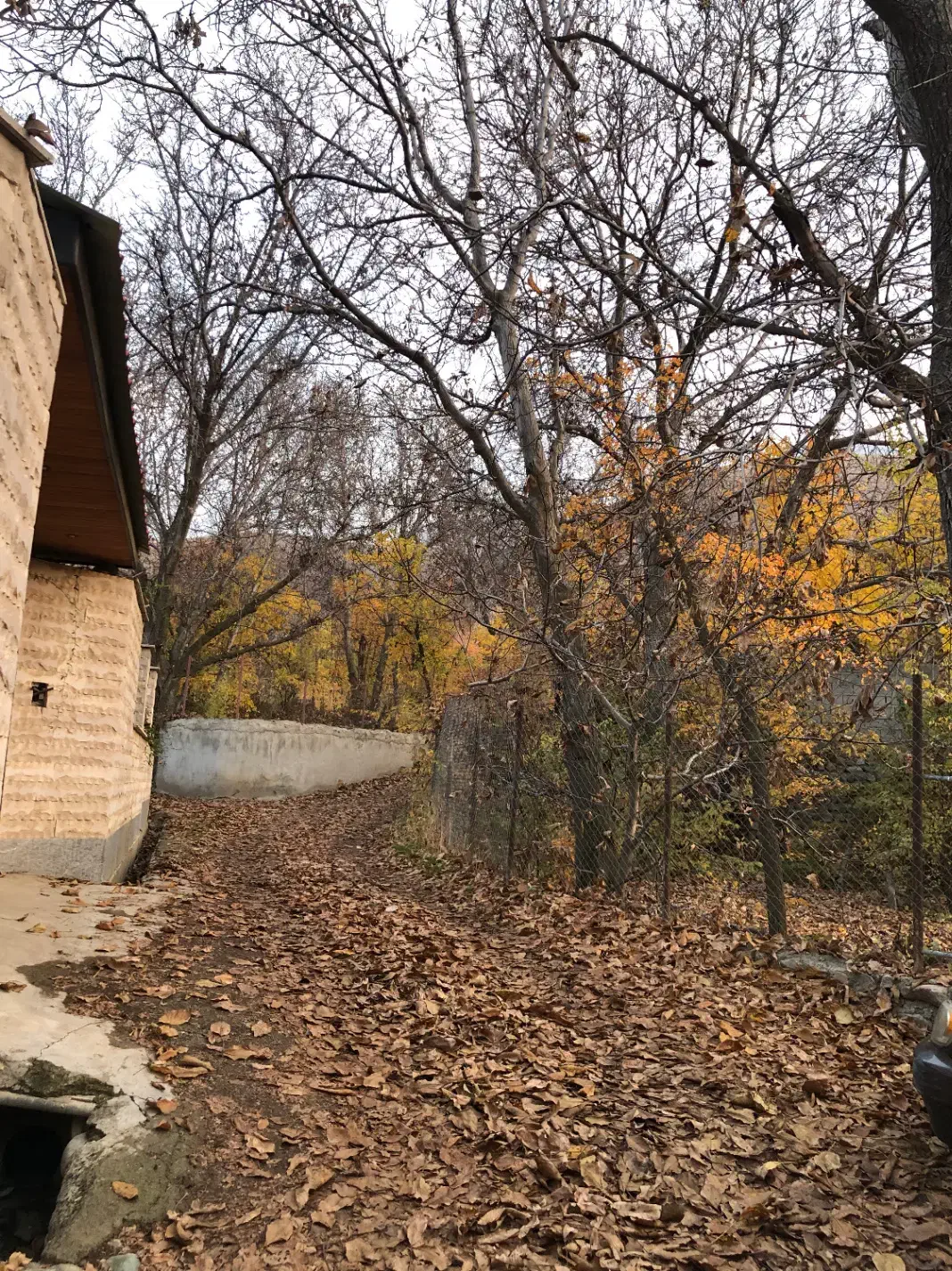 ارنگه-750متر باغچه|فروش زمین و ملک کلنگی|آسارا, |دیوار