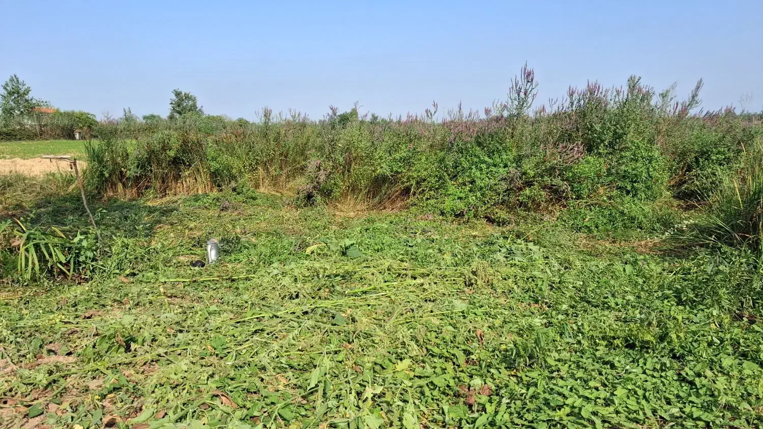 فروش زمین ۱۰۰متری داخل طرح هادی ویشکاننک سنگر|فروش زمین و ملک کلنگی|سنگر, |دیوار