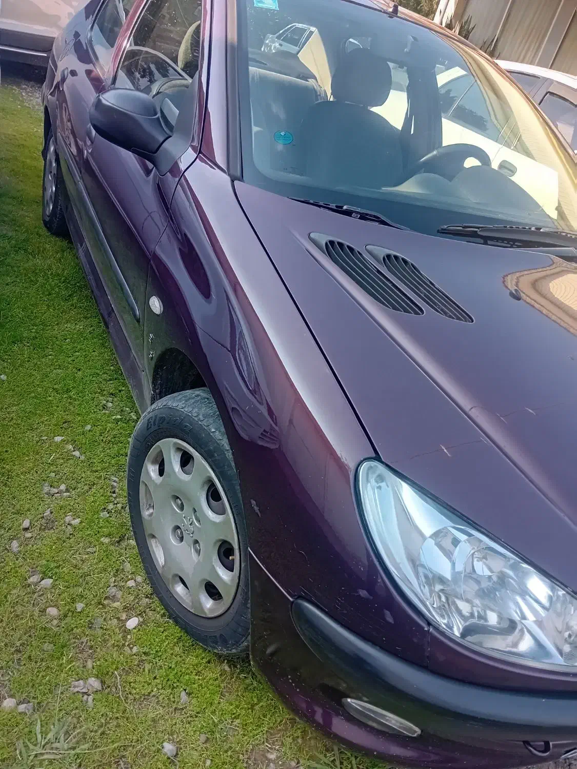 206 sd|خودرو سواری و وانت|رشت, حافظ آباد|دیوار