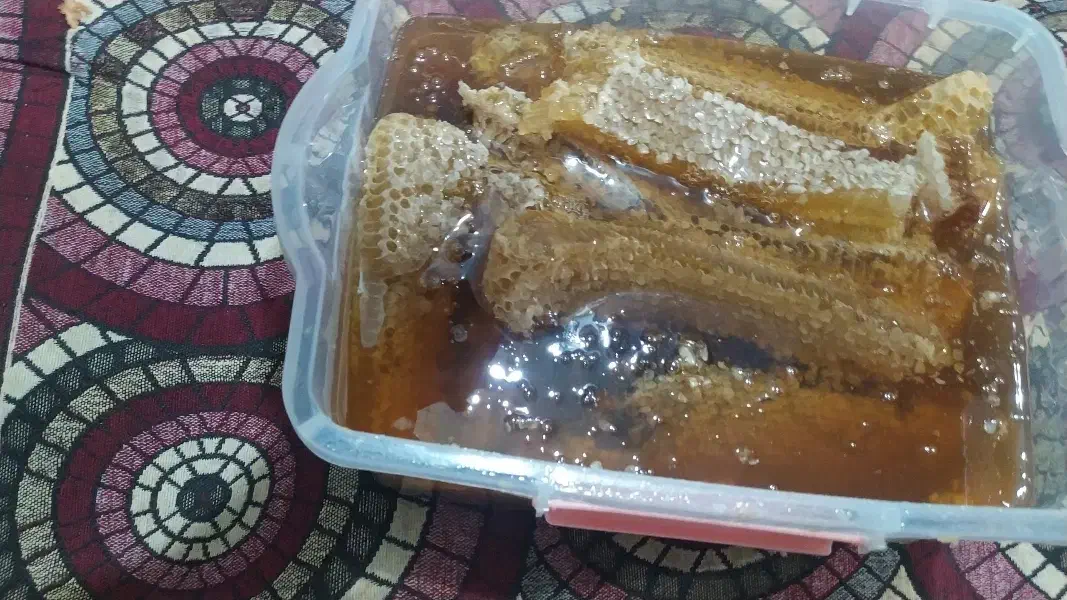 عسل درمانی|خوردنی و آشامیدنی|پاکدشت, شهرک امام رضا|دیوار