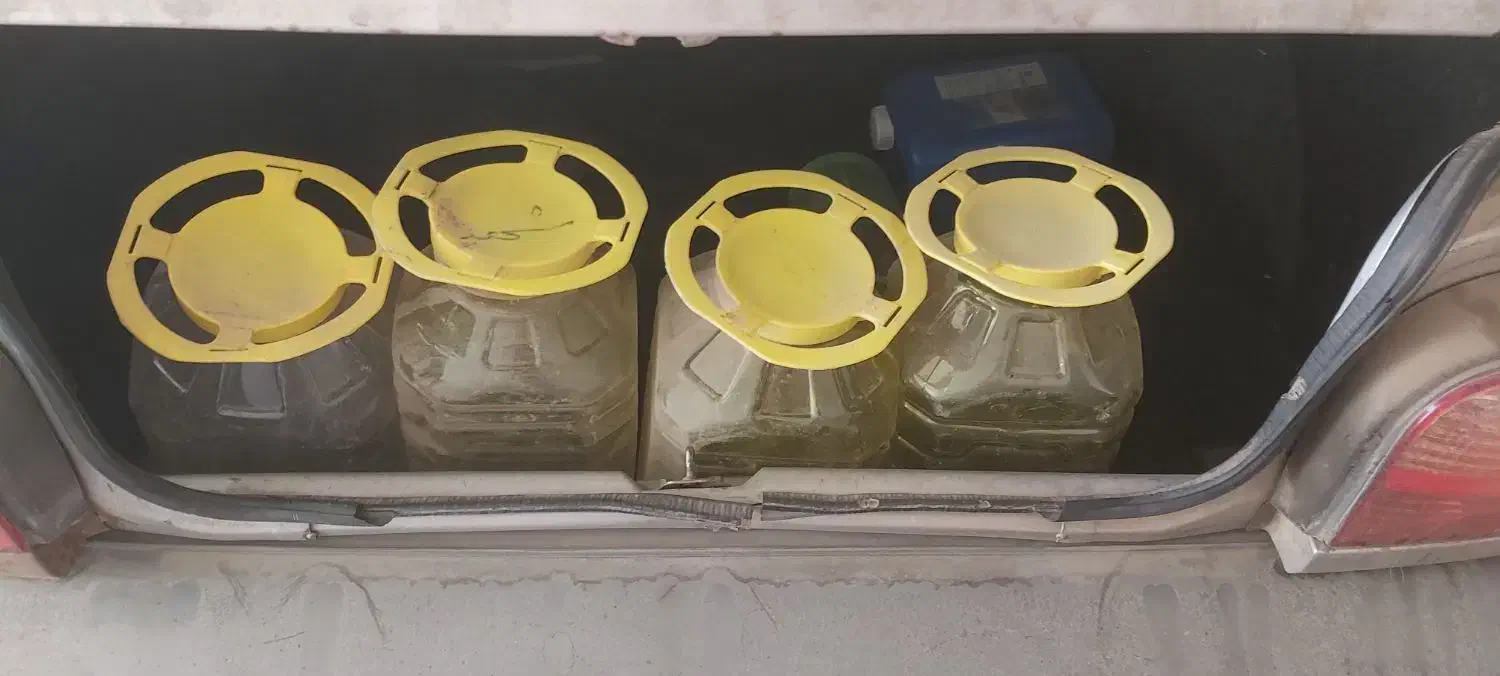 دبه سر فرمونی|ظروف نگهدارنده، پلاستیکی، یک‌بارمصرف|مشهد, امیریه|دیوار