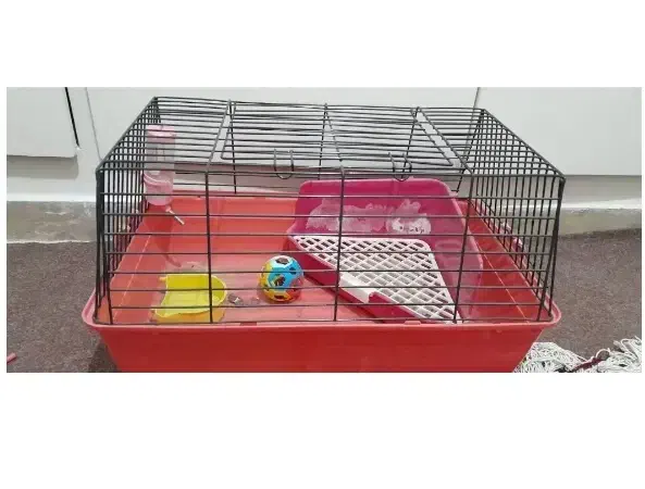 قفس خرگوش سالم|لوازم جانبی حیوانات|پاکدشت, پاکدشت (مامازند)|دیوار