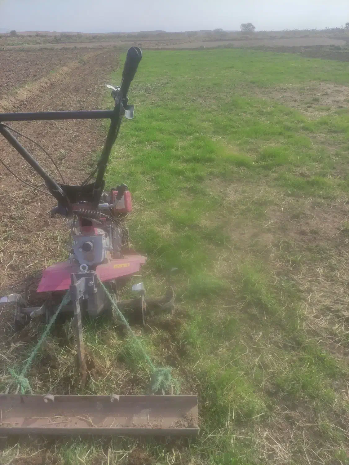 شخم زدن زمین زعفران با تیلر|خدمات باغبانی و درختکاری|سبزوار, قصبه شرقی|دیوار