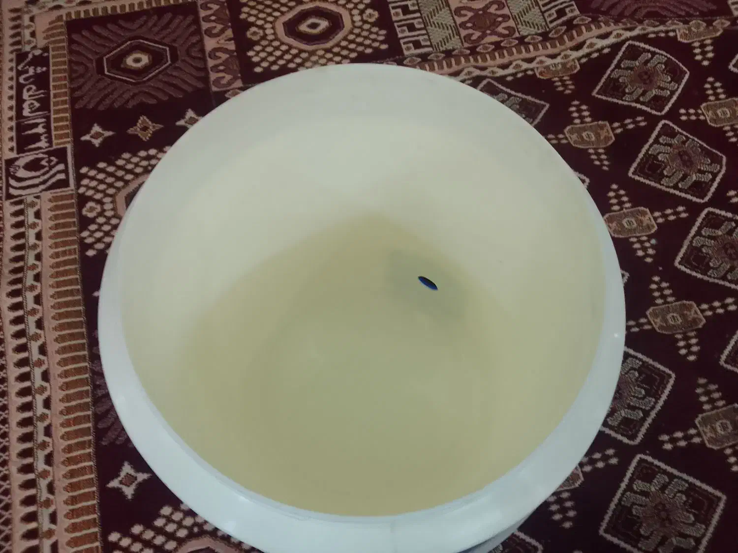 کلمن نو نو|ظروف نگهدارنده، پلاستیکی، یک‌بارمصرف|اهواز, نادری|دیوار