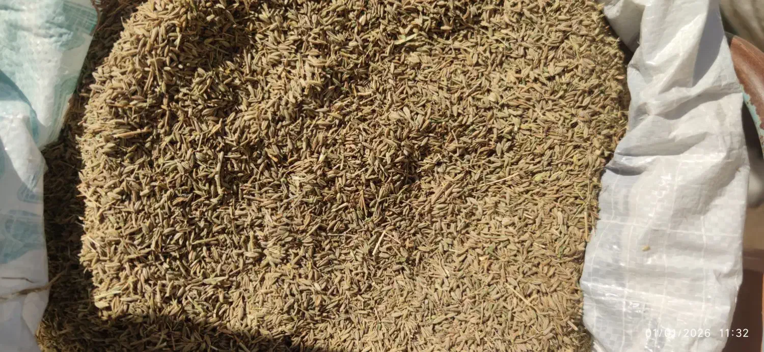 زیره|خوردنی و آشامیدنی|اسفراین, |دیوار