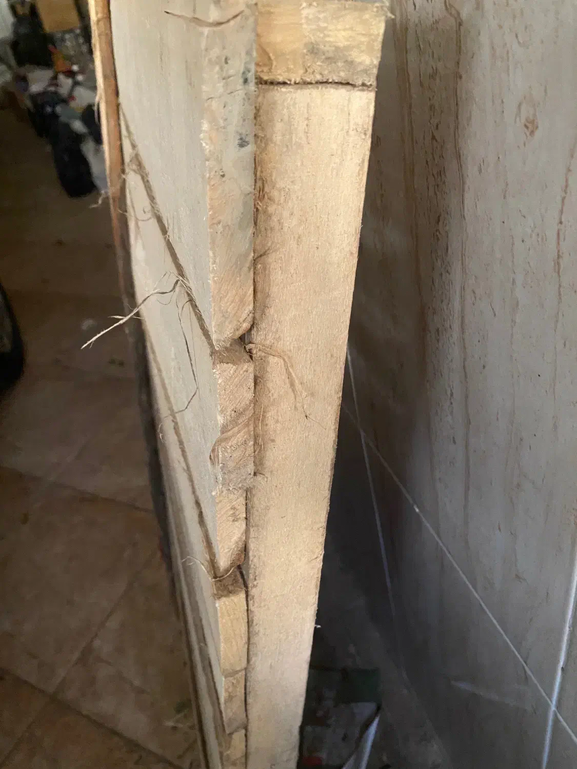 قفسه گلخانه ای|کتابخانه، شلف، قفسه‌های دیواری|یزد, |دیوار