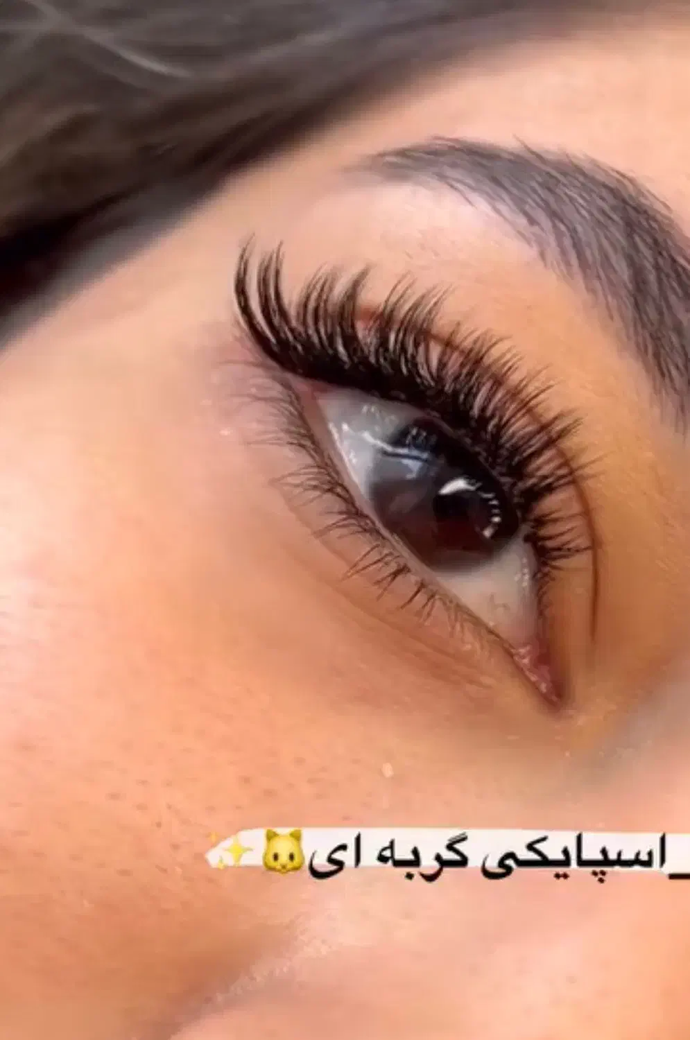 تخفیف ویژه اکستنشن مژه و لیفت|خدمات آرایشگری و زیبایی|رامسر, |دیوار