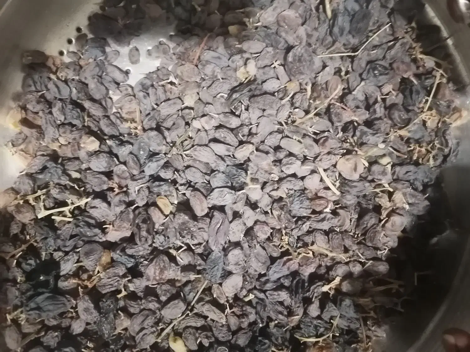 آفتابی بوانات|خوردنی و آشامیدنی|شیراز, احمدی جنوبی|دیوار