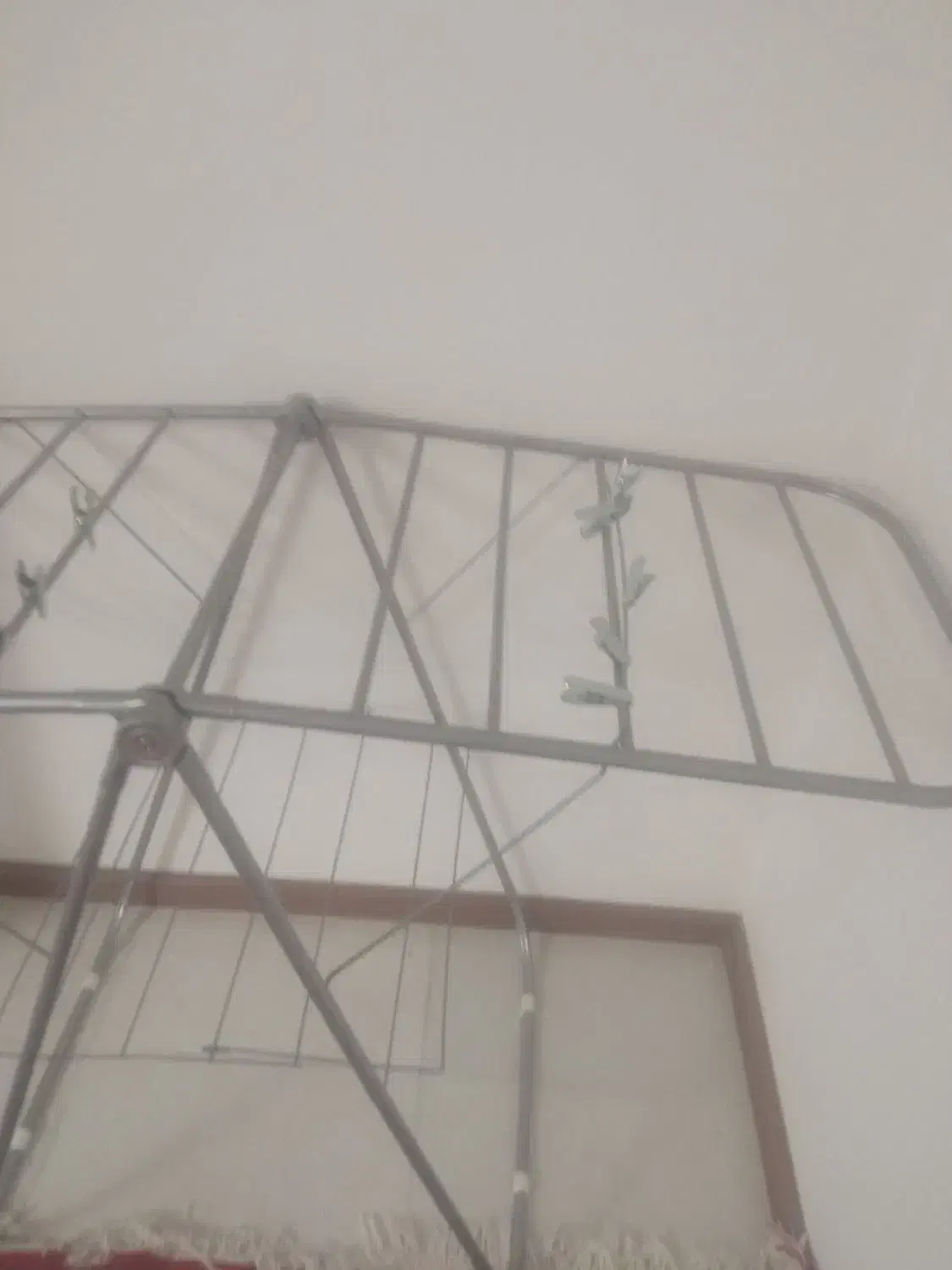 بندرخت سایزبزرگ|بندرخت و رخت‌آویز|سهند, |دیوار