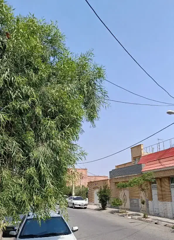 ویلایی / ۱۶۰ متر / همکف بالا / تاپ لوکیشن بنیاد|فروش خانه و ویلا|قم, بنیاد|دیوار