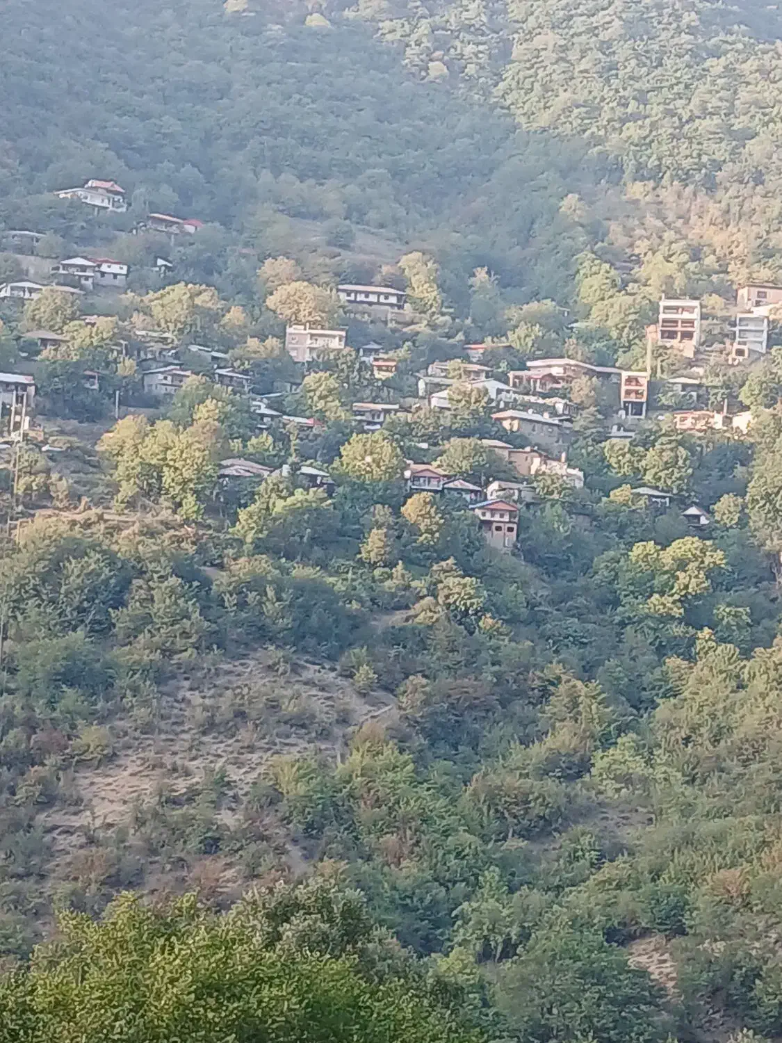 راهنمایی|فعالیت داوطلبانه تحقیقاتی|گرگان, |دیوار