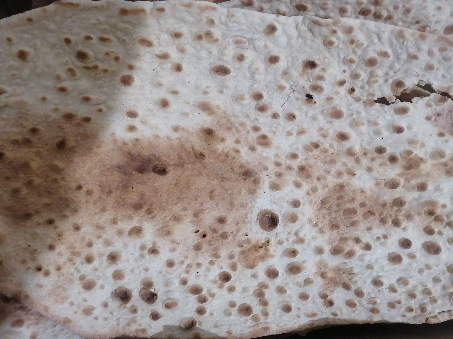 فروش امتیاز نانوایی|فروشگاه و مغازه|میامی, |دیوار