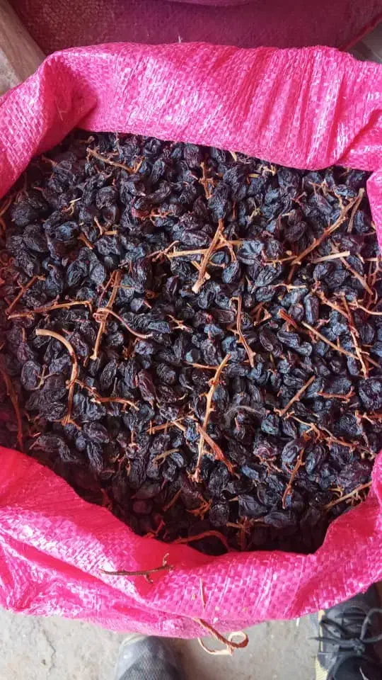 فروش مویز|خوردنی و آشامیدنی|شیراز, گویم|دیوار