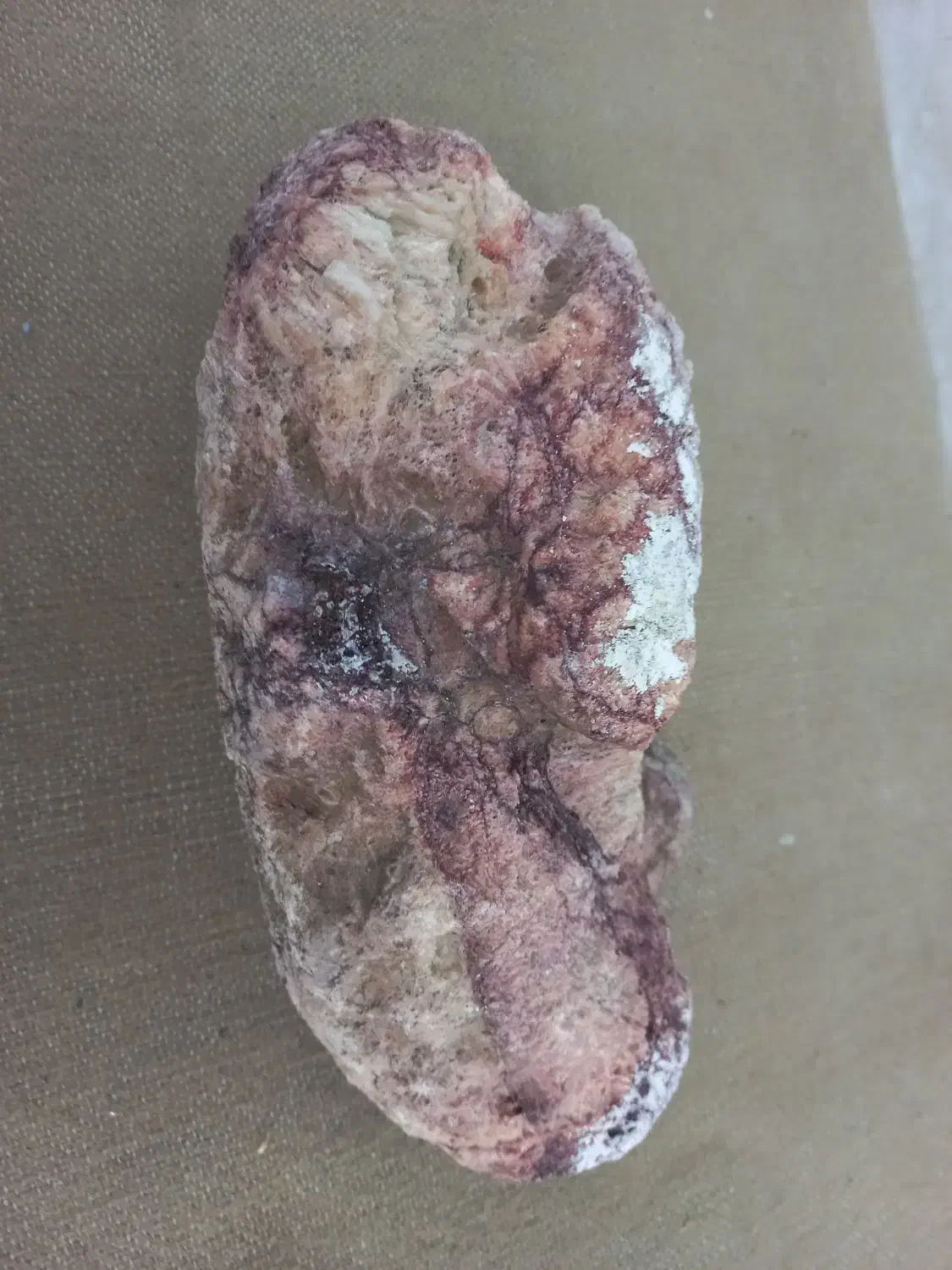 سنگ زیبا|کلکسیون اشیاء عتیقه|رشت, جانبازان|دیوار