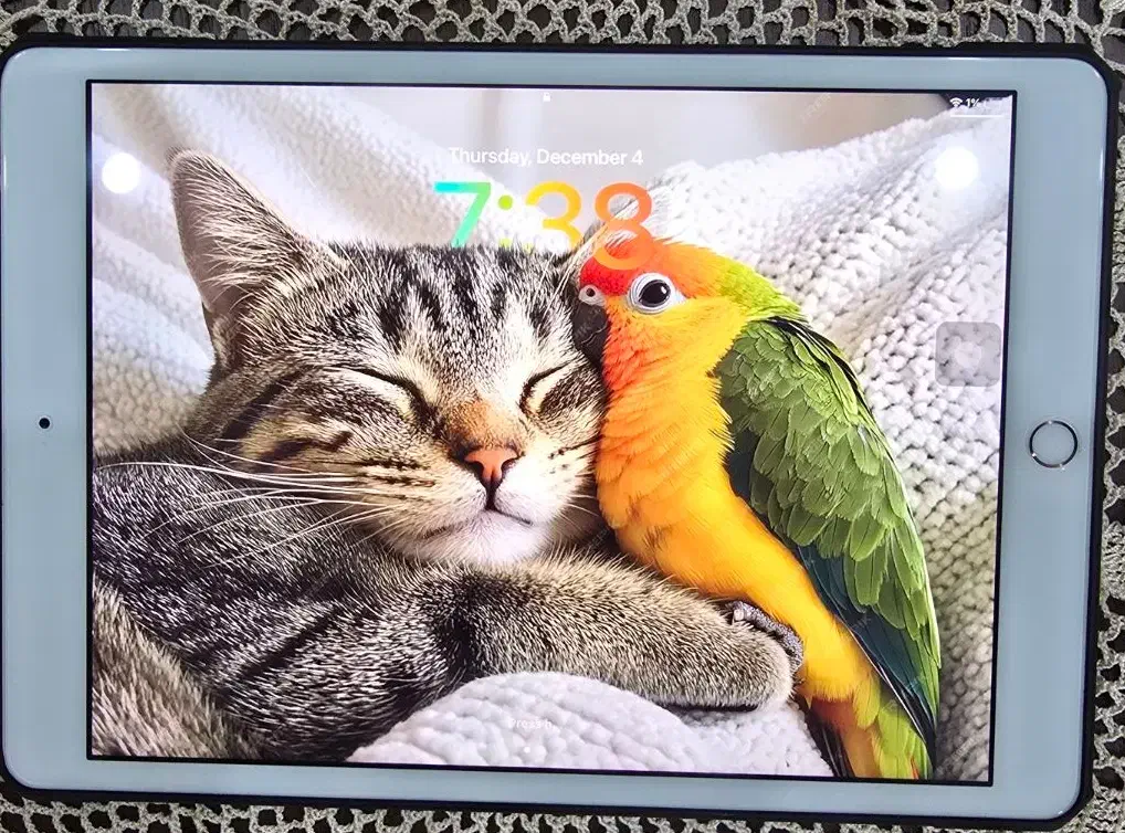 تبلت اپل iPad 8th 2020 Wifi|تبلت|شیراز, عفیفآباد|دیوار