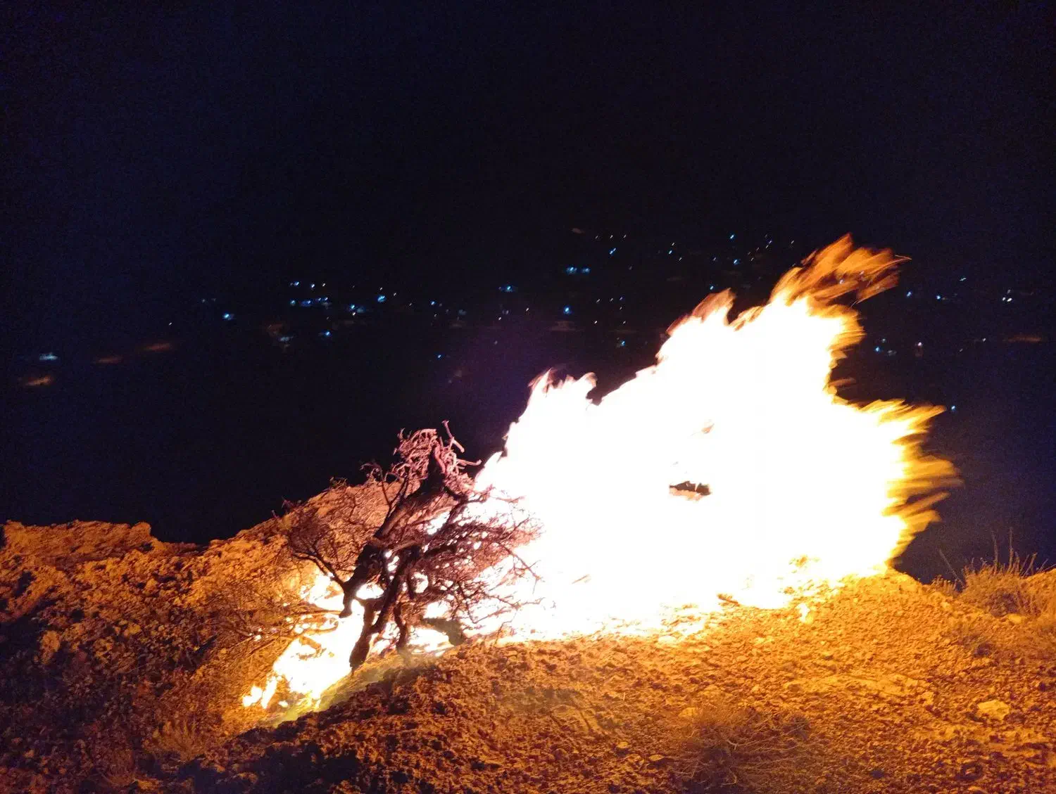 تور گردشگری|تور و چارتر|شیراز, غدیر شمالی|دیوار