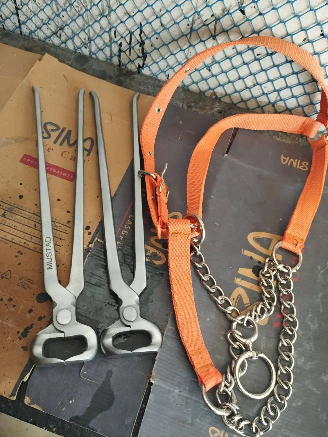 وسایل|اسب و تجهیزات اسب‌سواری|موچش, |دیوار