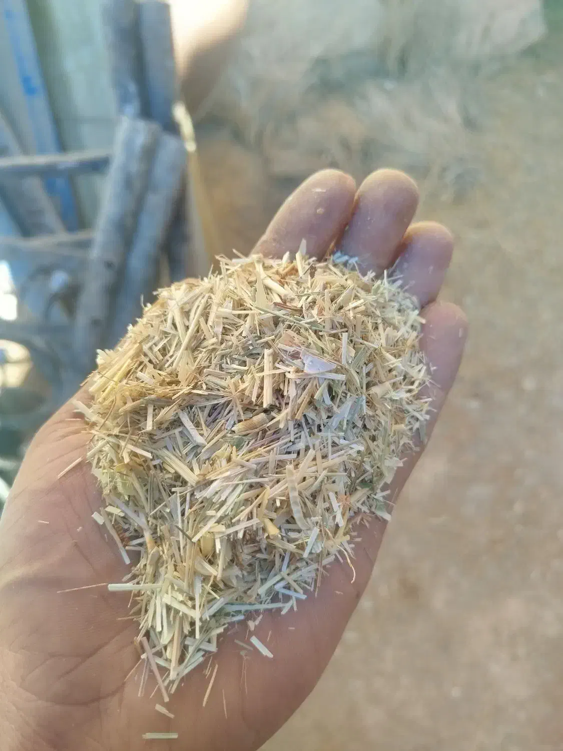 کاه گندم|خدمات باغبانی و درختکاری|لاران, |دیوار