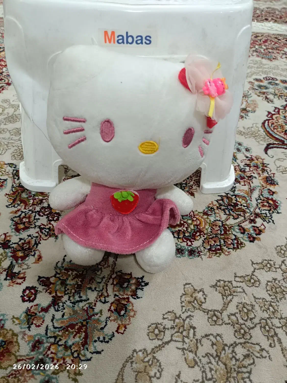 عروسک|اسباب‌بازی بچه|مشهد, دانشجو|دیوار