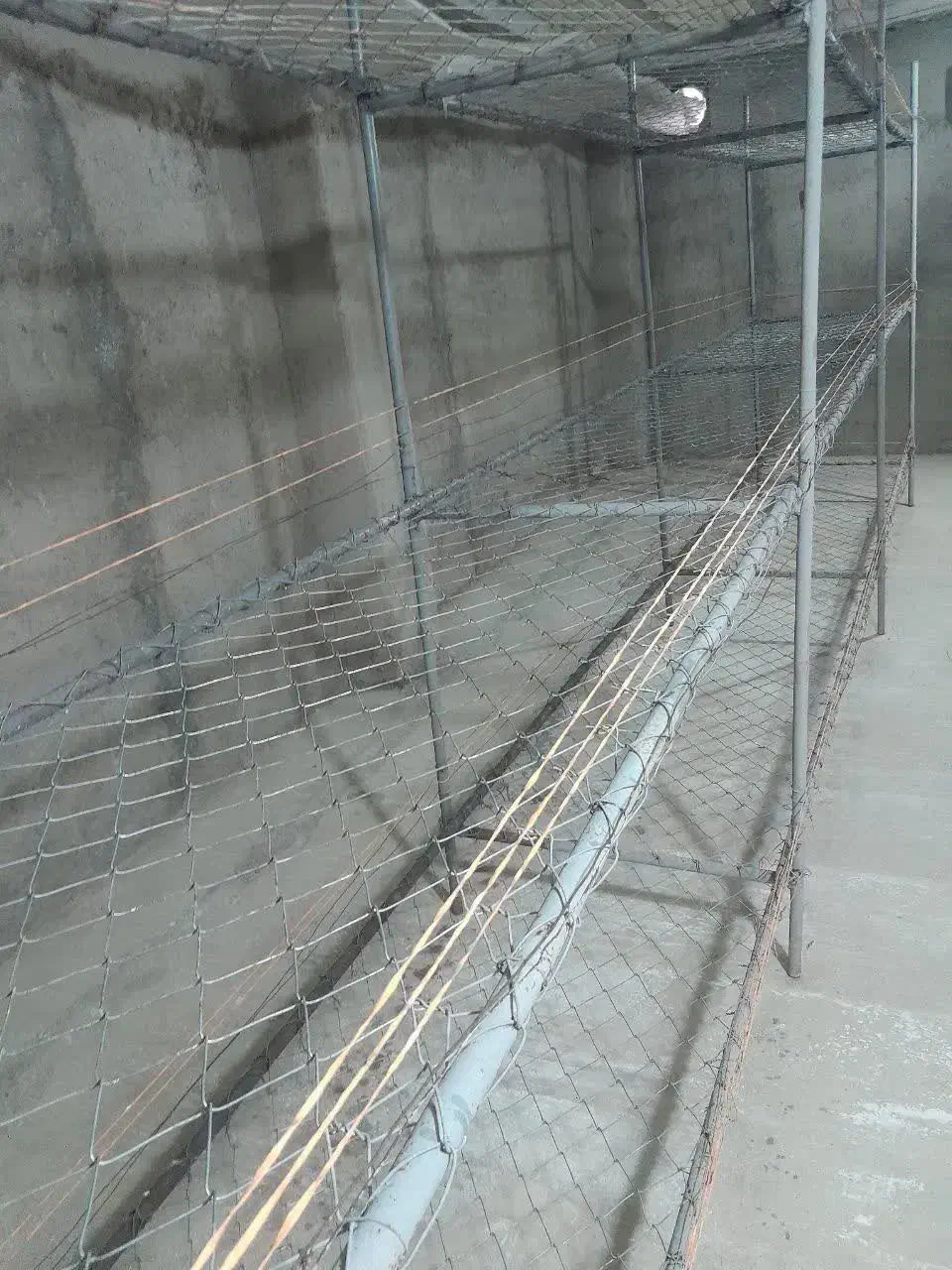 فروش قفسه قارچ در حد نو|فروشگاه و مغازه|شیرگاه, |دیوار