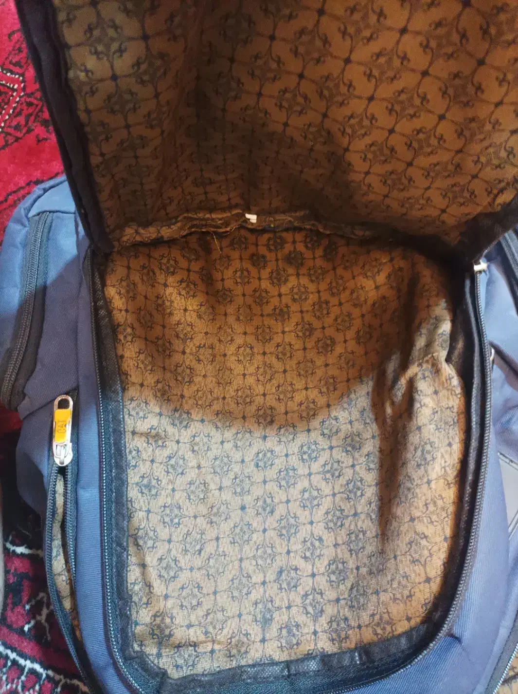 کیف مدرسه|کیف، کفش، کمربند|گنبد کاووس, |دیوار