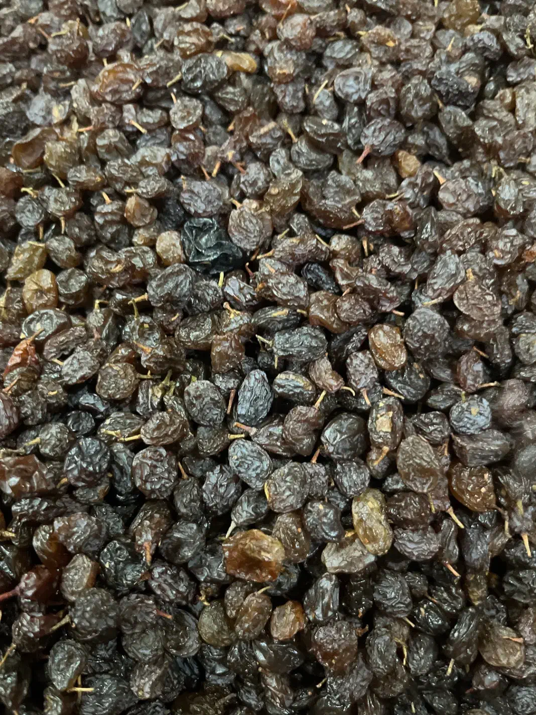 کشمش علیرضا|عمده‌فروشی|تاکستان, |دیوار