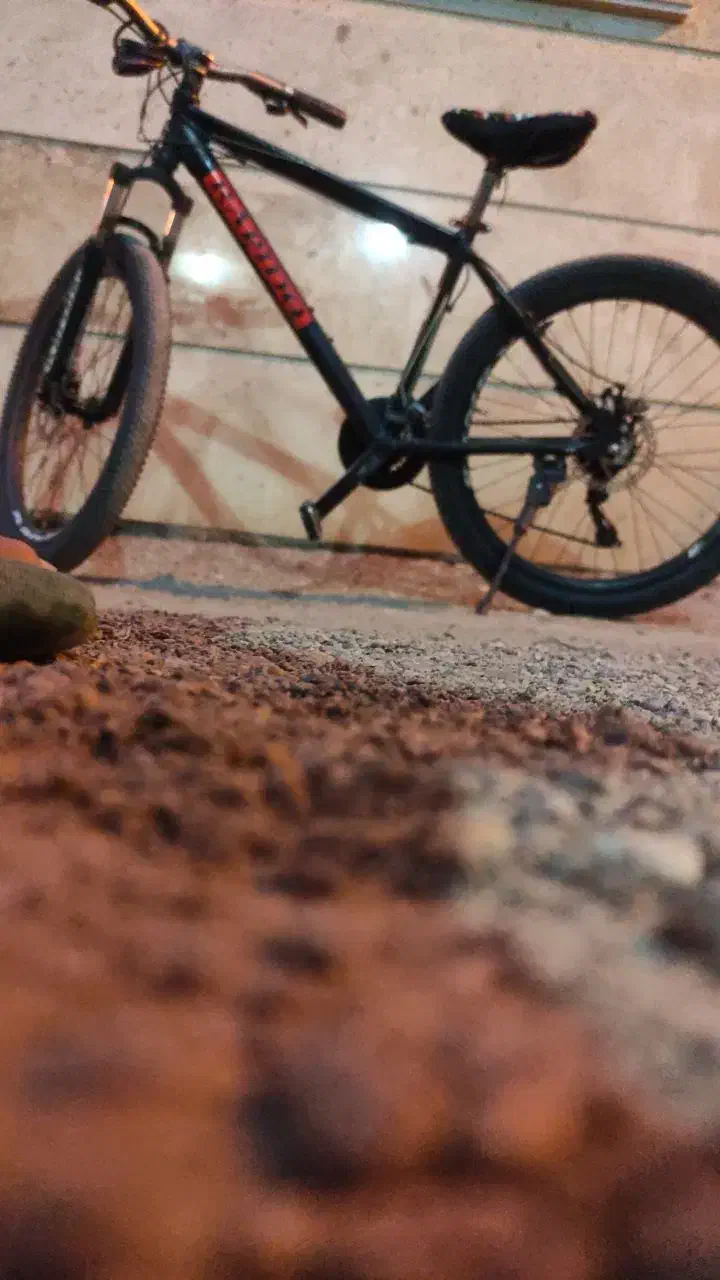 دوچرخه راپیدو ۲۶|دوچرخه، اسکیت، اسکوتر|میانه, |دیوار