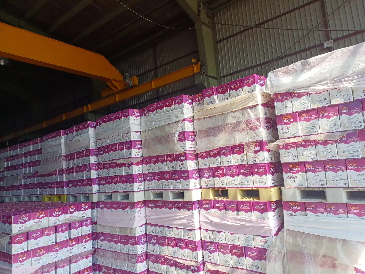 تولید و فروش سفره یکبارمصرف بصورت عمده|ظروف نگهدارنده، پلاستیکی، یک‌بارمصرف|بستان آباد, |دیوار