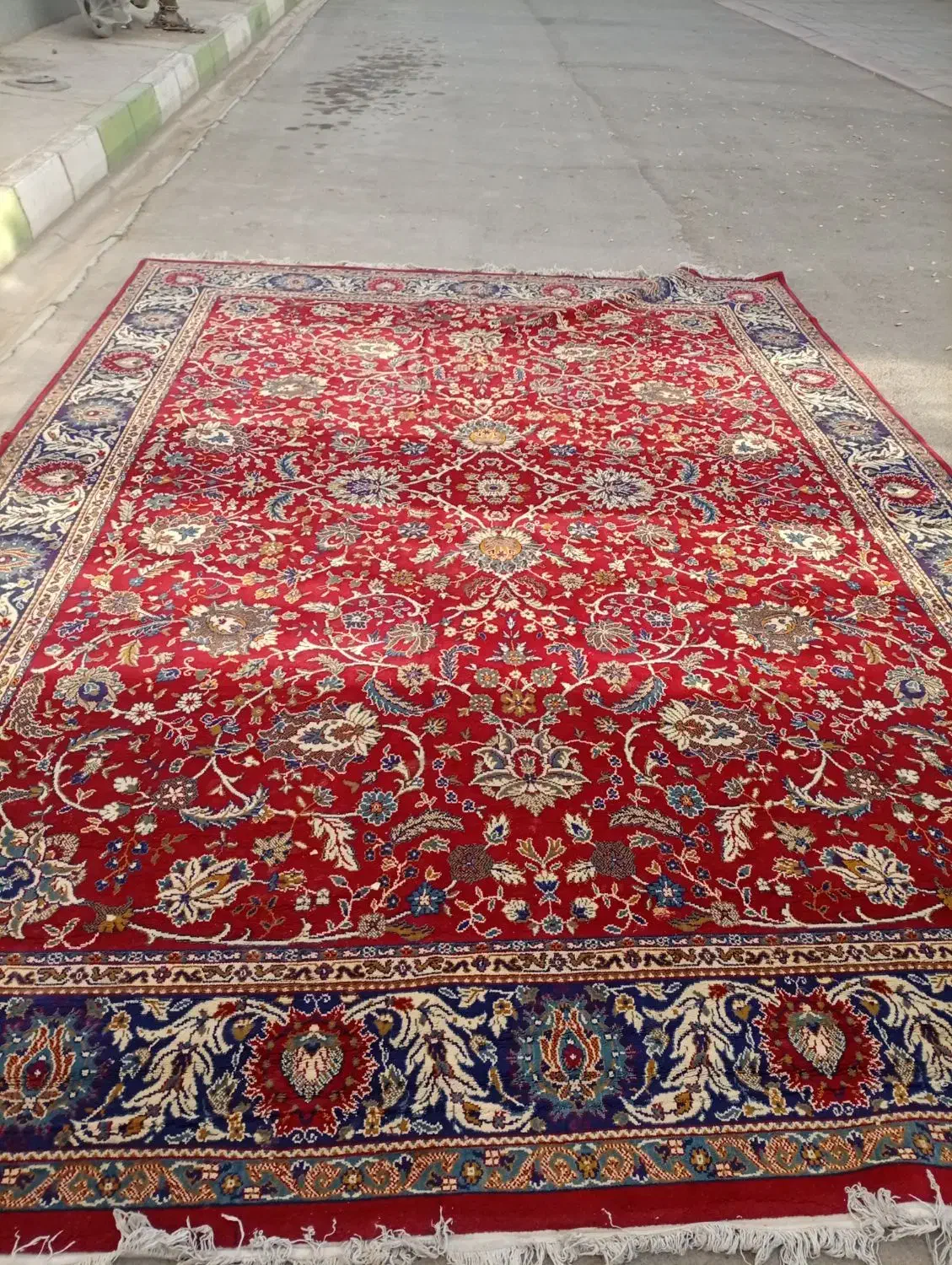 فرش12متری ماشینی|فرش|شاندیز, |دیوار