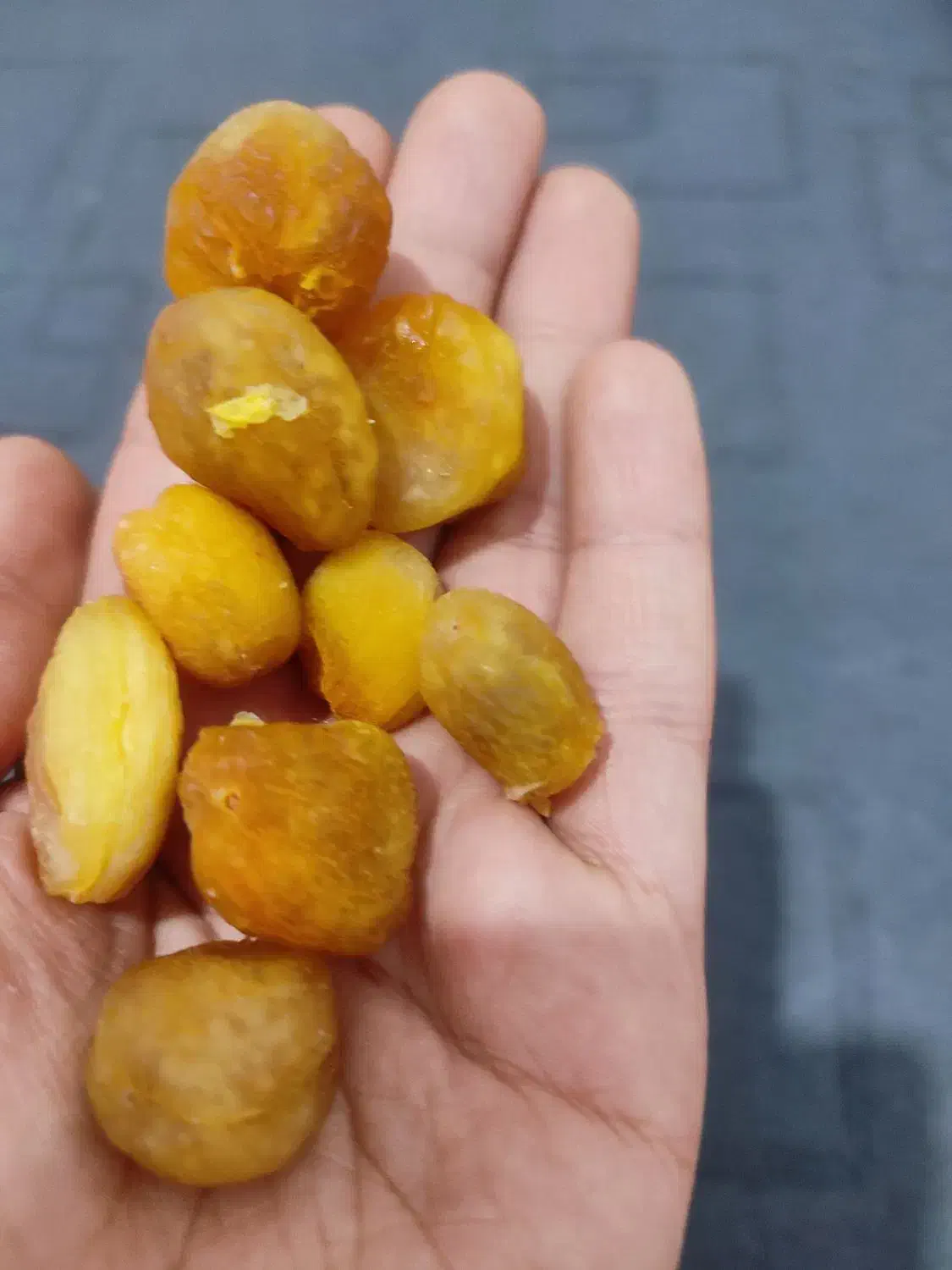 قیصی زرد آلو|خوردنی و آشامیدنی|تربت جام, باغ سنگان سفلی|دیوار