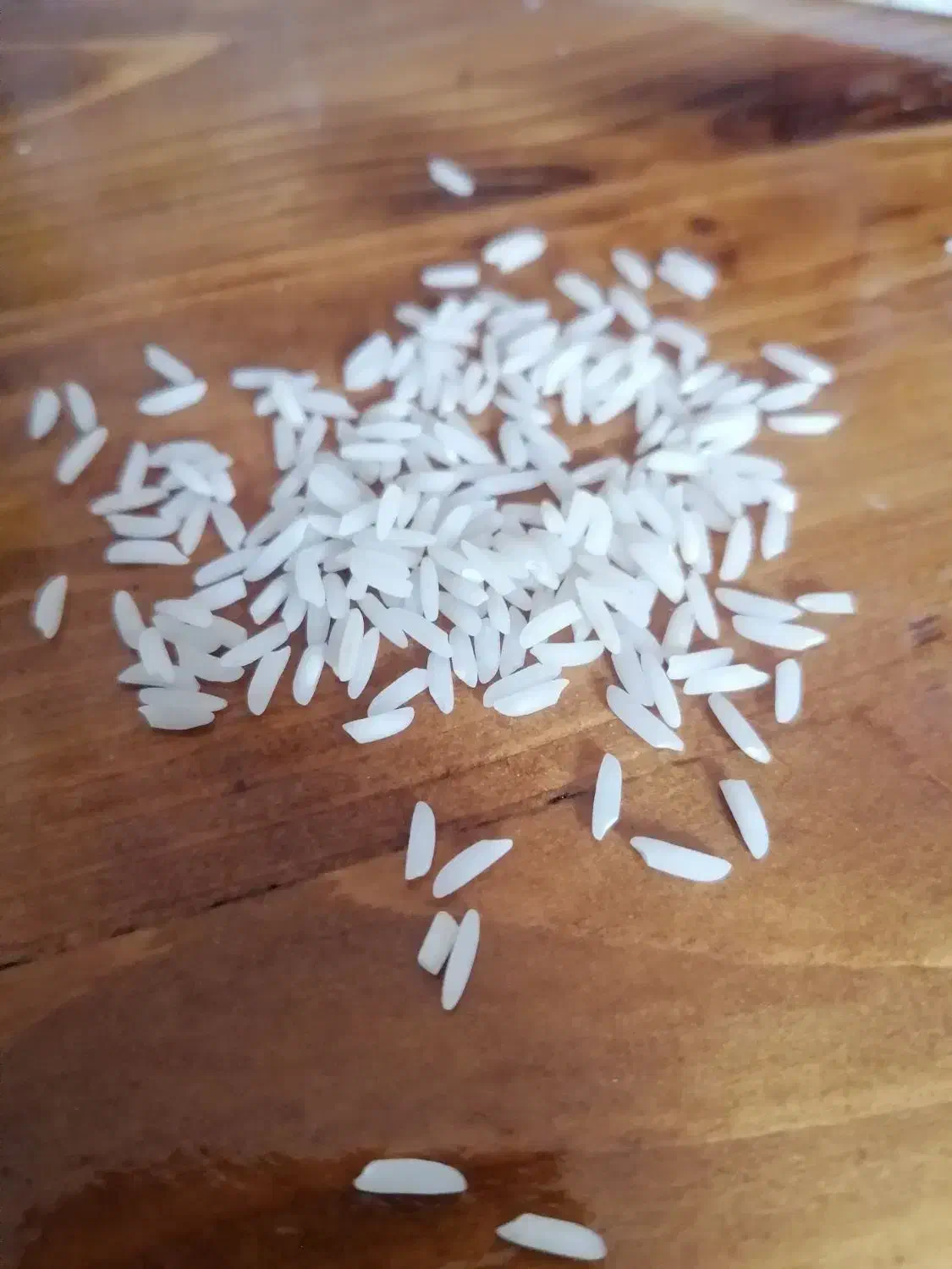 فروش برنج هاشمی رشت|خوردنی و آشامیدنی|تهران, فرمانیه|دیوار